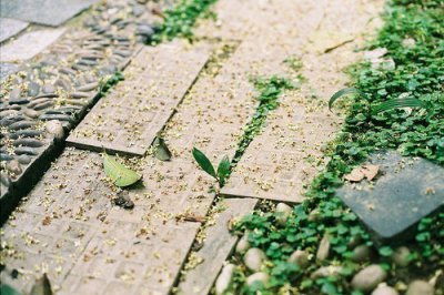 ​不开心的情绪性签名121句