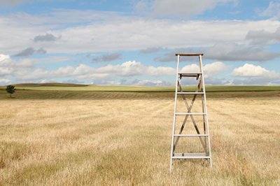 ​适合重阳节发朋友圈文案重阳节晚会表演发朋友圈(精选92句)