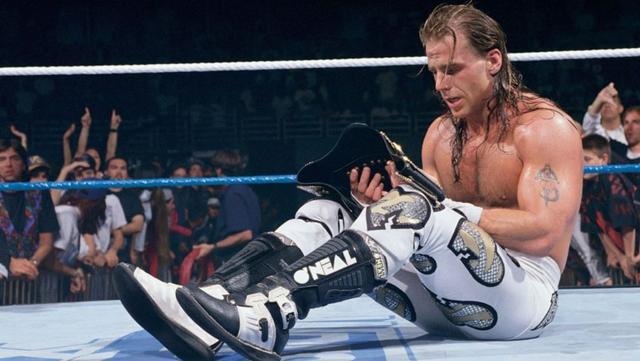 wwe摔角狂热名人堂全部成员（这些WWE巨星都打过摔角狂热主战赛）(3)