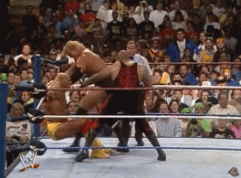 wwe摔角狂热名人堂全部成员（这些WWE巨星都打过摔角狂热主战赛）(10)