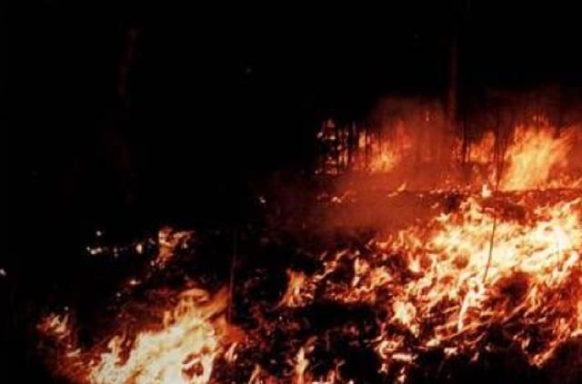 1987大兴安岭火灾是谁引起的（大兴安岭大火始末）(11)