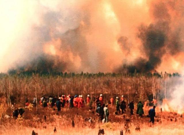1987大兴安岭火灾是谁引起的（大兴安岭大火始末）(6)