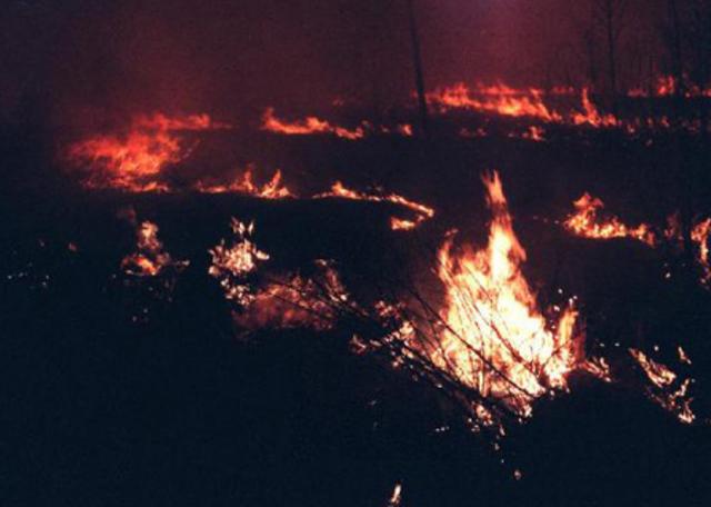 1987大兴安岭火灾是谁引起的（大兴安岭大火始末）(18)