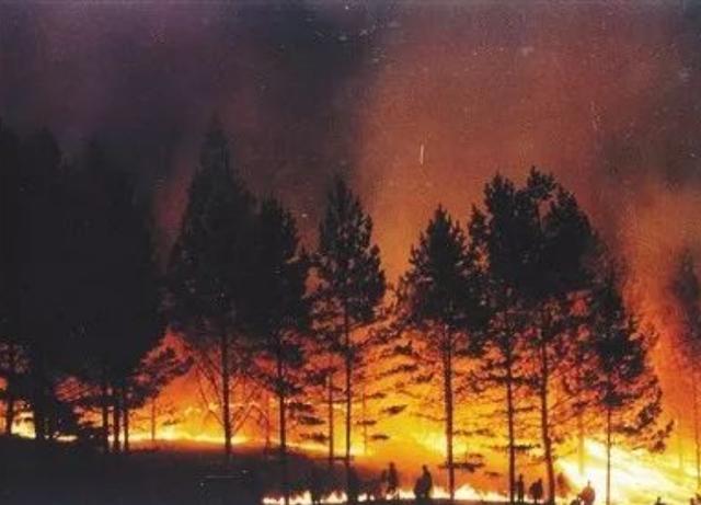 1987大兴安岭火灾是谁引起的（大兴安岭大火始末）(5)