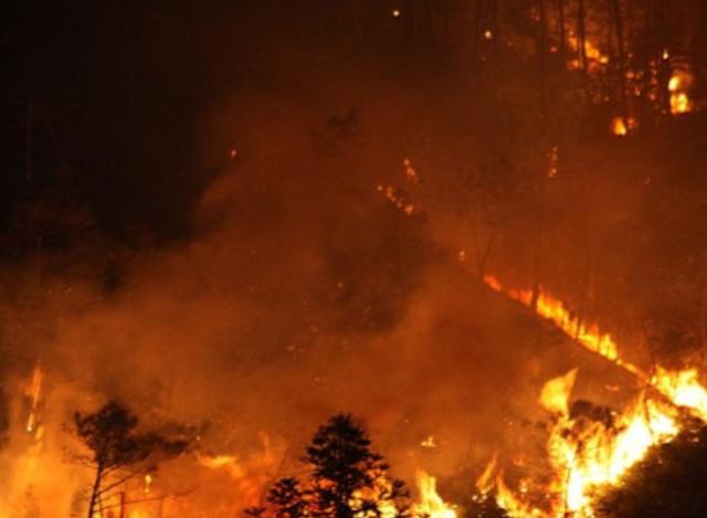 1987大兴安岭火灾是谁引起的（大兴安岭大火始末）(1)