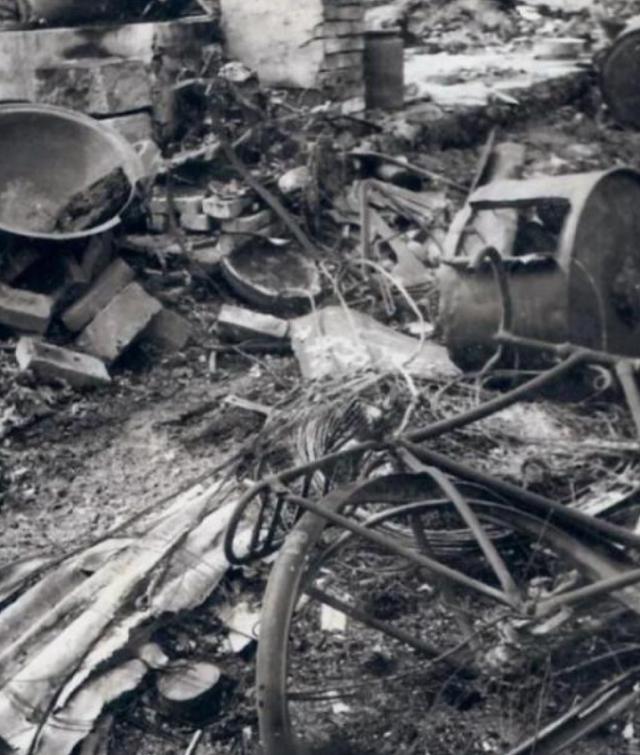 1987大兴安岭火灾是谁引起的（大兴安岭大火始末）(9)