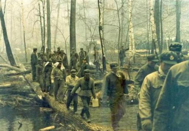 1987大兴安岭火灾是谁引起的（大兴安岭大火始末）(10)