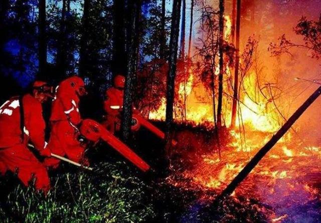 1987大兴安岭火灾是谁引起的（大兴安岭大火始末）(12)