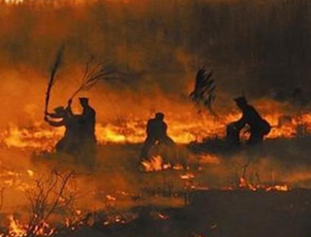 1987大兴安岭火灾是谁引起的（大兴安岭大火始末）(3)