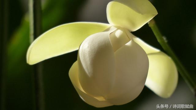 最美的50首现代短诗（经典而又绝妙的十首现代诗）(6)