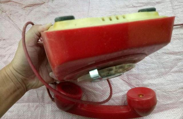 新婚夫妻遇害案例（2006年女子家中被害）(4)