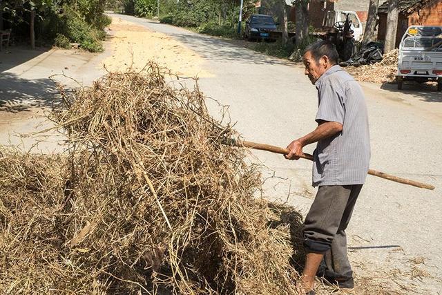 新婚夫妻遇害案例（2006年女子家中被害）(7)