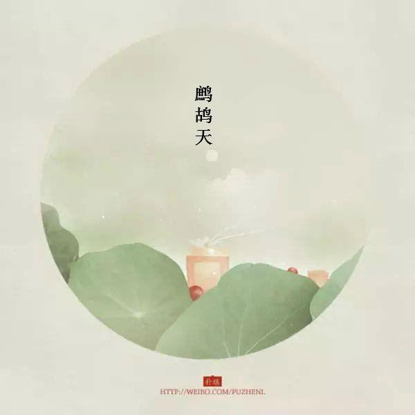 宋词常用的词牌名大全：四十首优美的词牌名(17)