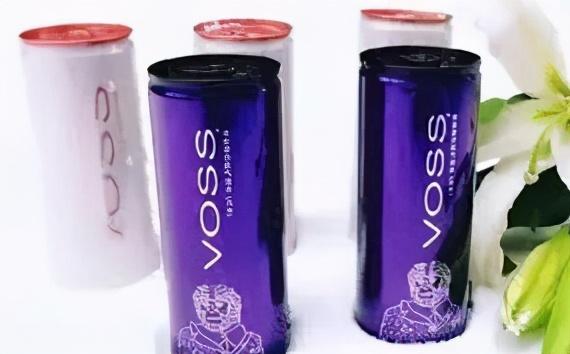 蒙牛的品牌介绍（蒙牛8大系列产品上新）(10)