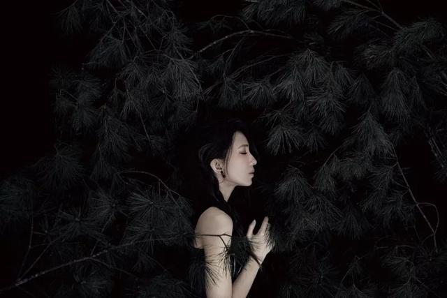 50首好听的磁性女声（50首不得不听的华语女声）(31)