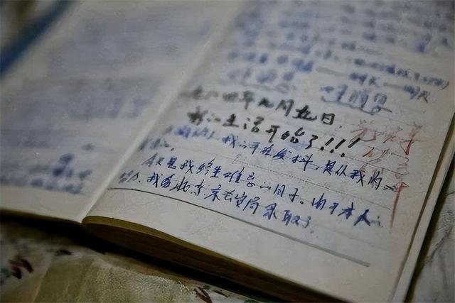 缉毒卧底宋名扬现状（卧底破案染上毒瘾）(16)