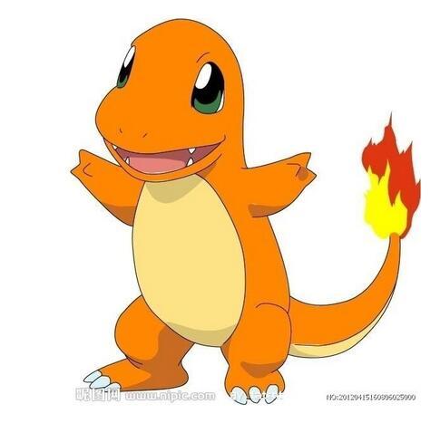 宠物小精灵1-150图鉴（宠物小精灵大全NO.5）(3)