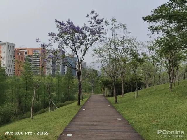 vivo x80 pro拍日常怎么样（vivoX80Pro评测）(16)