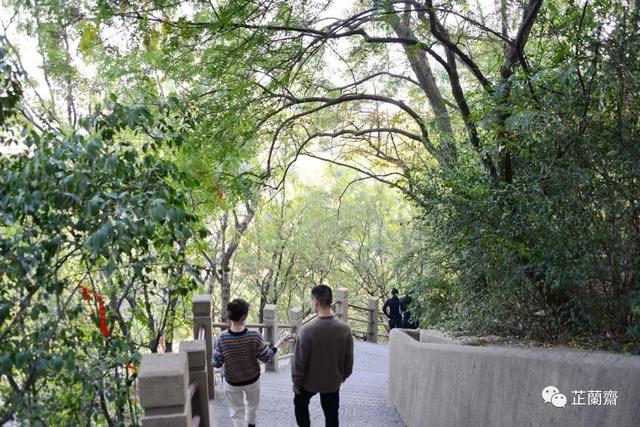 镇江金山寺之观音阁（觅苏记镇江金山寺）(7)