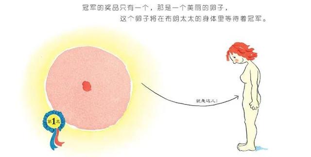 性教育真相揭秘（难以启齿的性教育）(14)