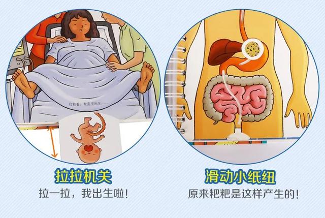 性教育真相揭秘（难以启齿的性教育）(8)