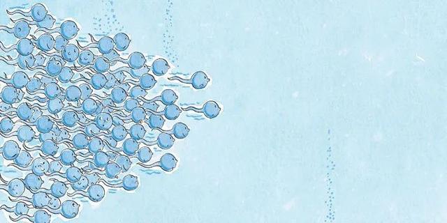 性教育真相揭秘（难以启齿的性教育）(12)