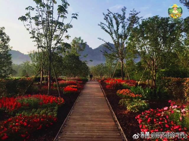 好看的植物景观文字描述（优秀的植物景观参例）(47)