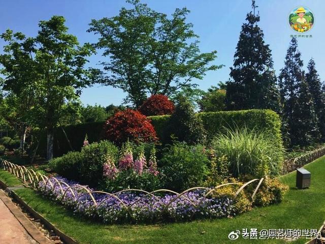 好看的植物景观文字描述（优秀的植物景观参例）(31)