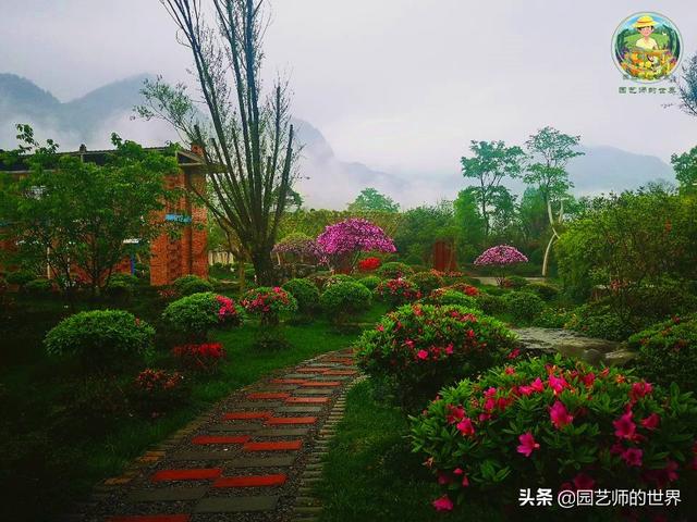 好看的植物景观文字描述（优秀的植物景观参例）(23)