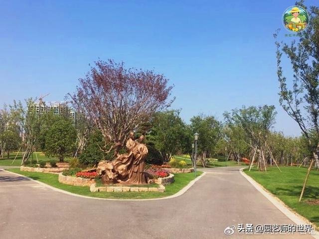 好看的植物景观文字描述（优秀的植物景观参例）(30)