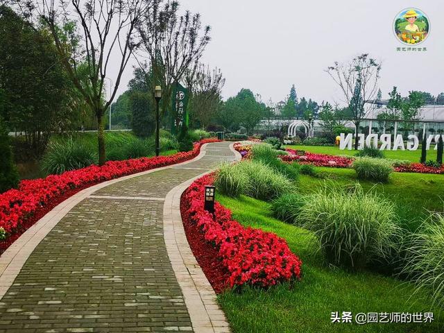 好看的植物景观文字描述（优秀的植物景观参例）(22)