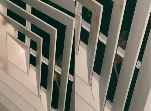 澳洲鼠灾原因（澳洲40年来最严重鼠灾）(28)