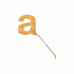 ​26个字母你觉得哪个字母最好看（这26个字母竟然暗藏漳州的玄机）