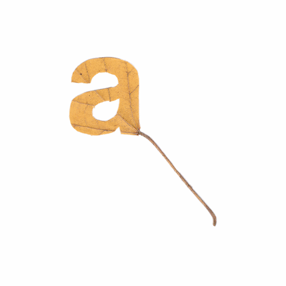 26个字母你觉得哪个字母最好看（这26个字母竟然暗藏漳州的玄机）(1)