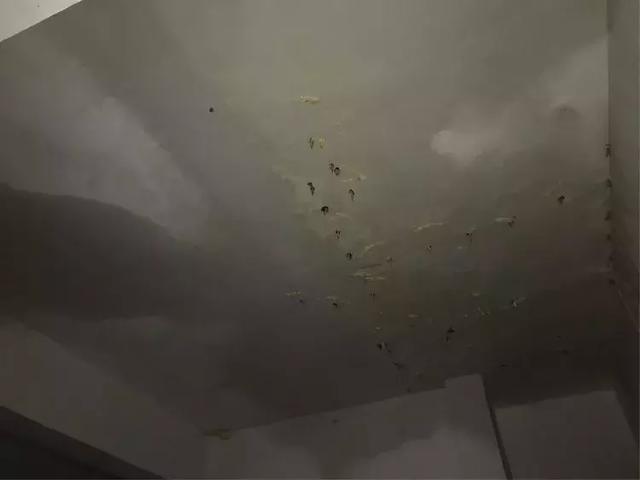 隧道防水结构有哪些（海底隧道能做到120年滴水不漏）(8)