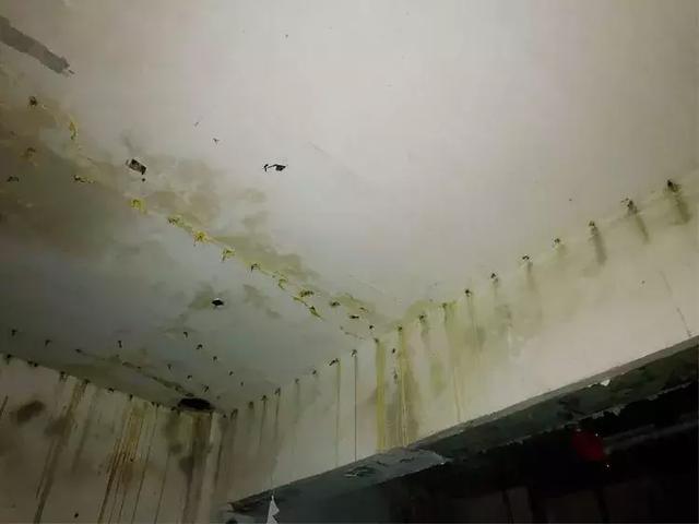 隧道防水结构有哪些（海底隧道能做到120年滴水不漏）(6)