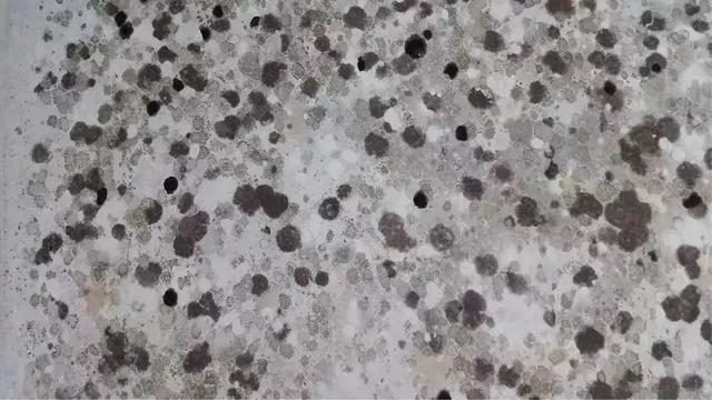 隧道防水结构有哪些（海底隧道能做到120年滴水不漏）(11)