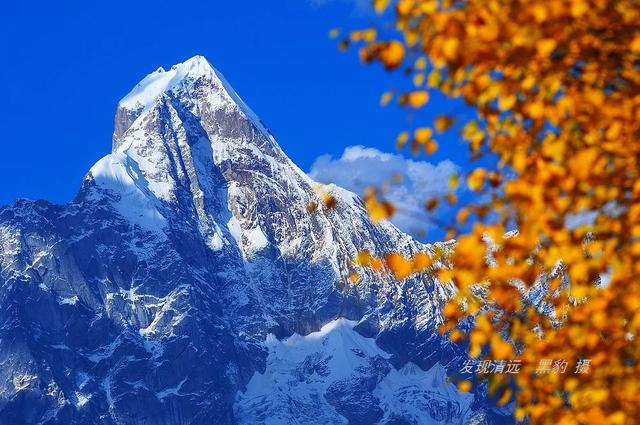 四姑娘山夏天美（人生最美好的时刻）(11)