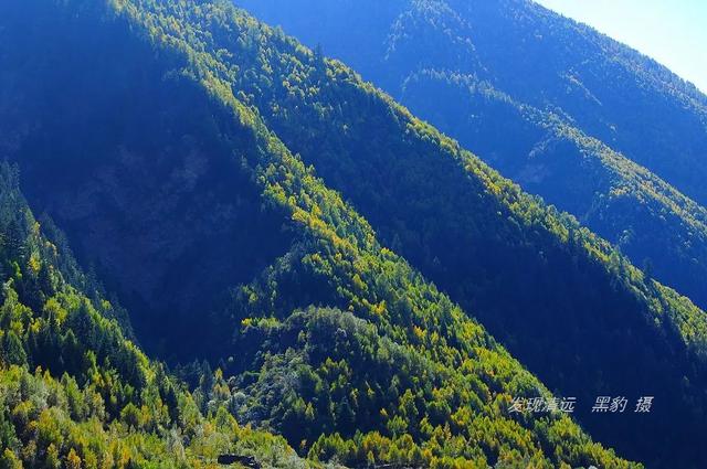 四姑娘山夏天美（人生最美好的时刻）(5)