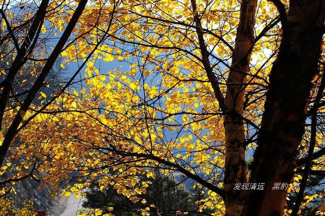 四姑娘山夏天美（人生最美好的时刻）(13)