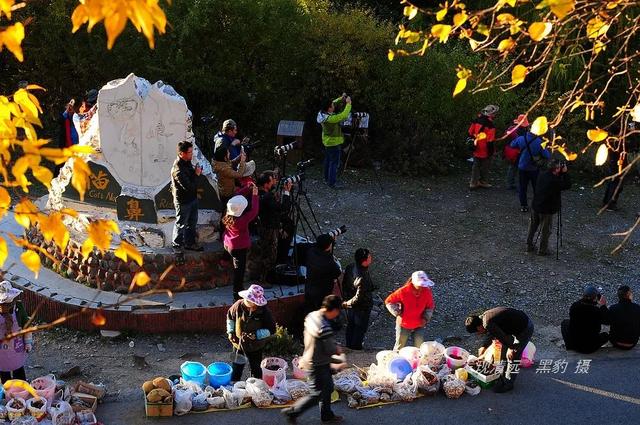 四姑娘山夏天美（人生最美好的时刻）(14)