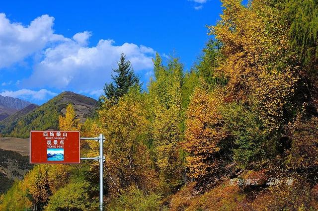 四姑娘山夏天美（人生最美好的时刻）(8)