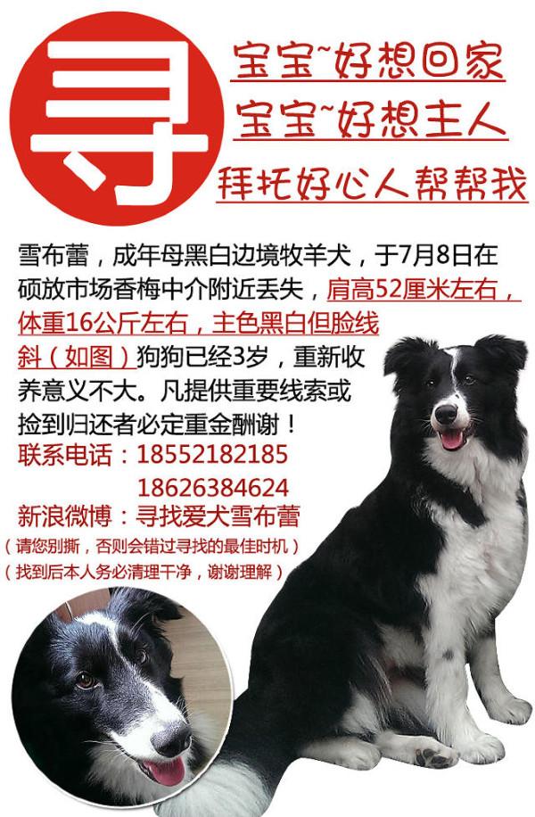 嵊泗列岛一天游游玩攻略（离岛微城慢生活）(39)