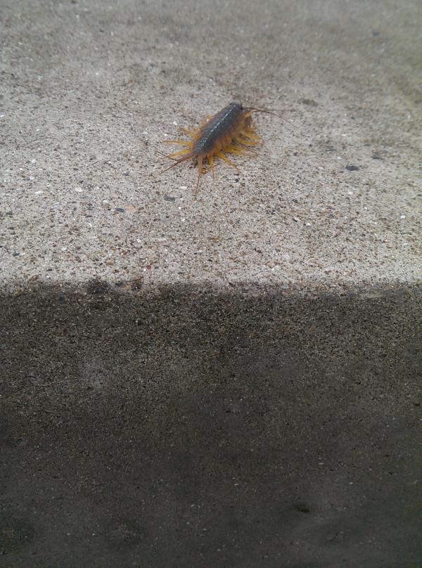 嵊泗列岛一天游游玩攻略（离岛微城慢生活）(47)