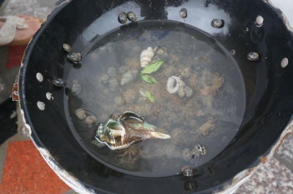 嵊泗列岛一天游游玩攻略（离岛微城慢生活）(44)