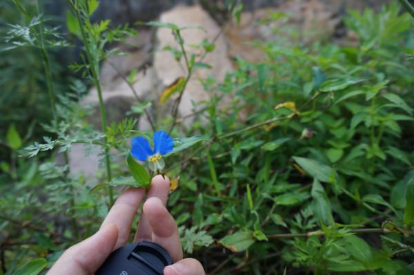 嵊泗列岛一天游游玩攻略（离岛微城慢生活）(32)