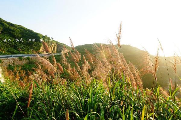嵊泗列岛一天游游玩攻略（离岛微城慢生活）(28)