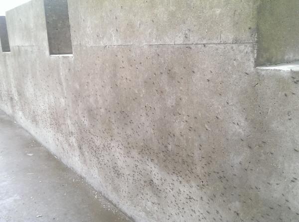 嵊泗列岛一天游游玩攻略（离岛微城慢生活）(48)