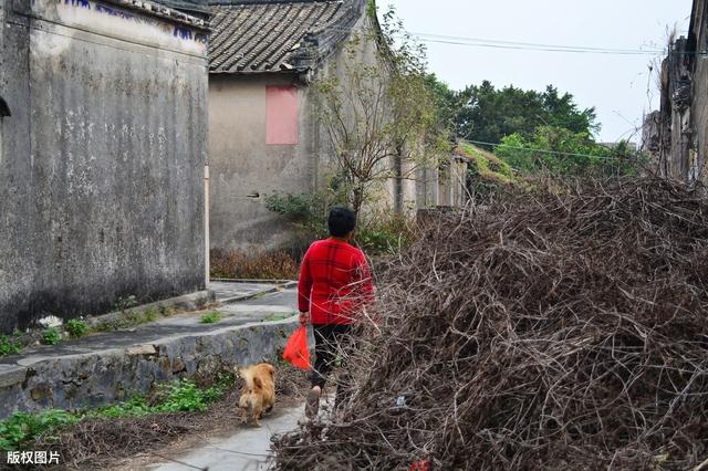 生病时妈妈对我无微不至的照顾(我才明白人能依靠的只有自己)(3)