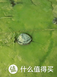 傲雷头灯（我的手电入坑之路）(21)